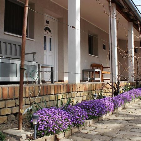 Julia Apartman Pacir Экстерьер фото